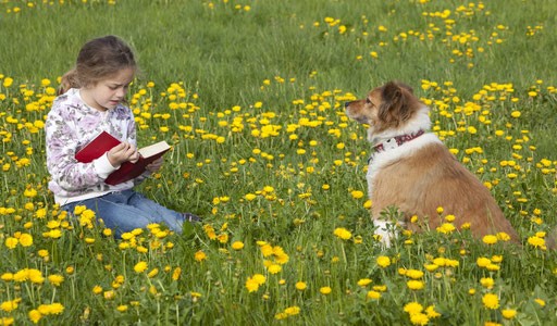Kind mit Hund